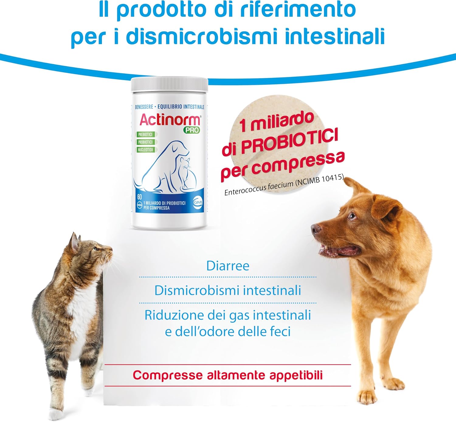 Detalle de Actinorm Pro – Bioregolatore naturale della funzionalità intestinale per cani e gatti, 60 compresse