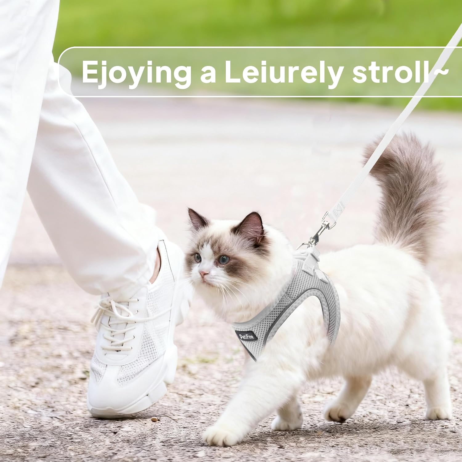 Detalle 1 de PetiFine Dog Harness and Leash Set, XXS