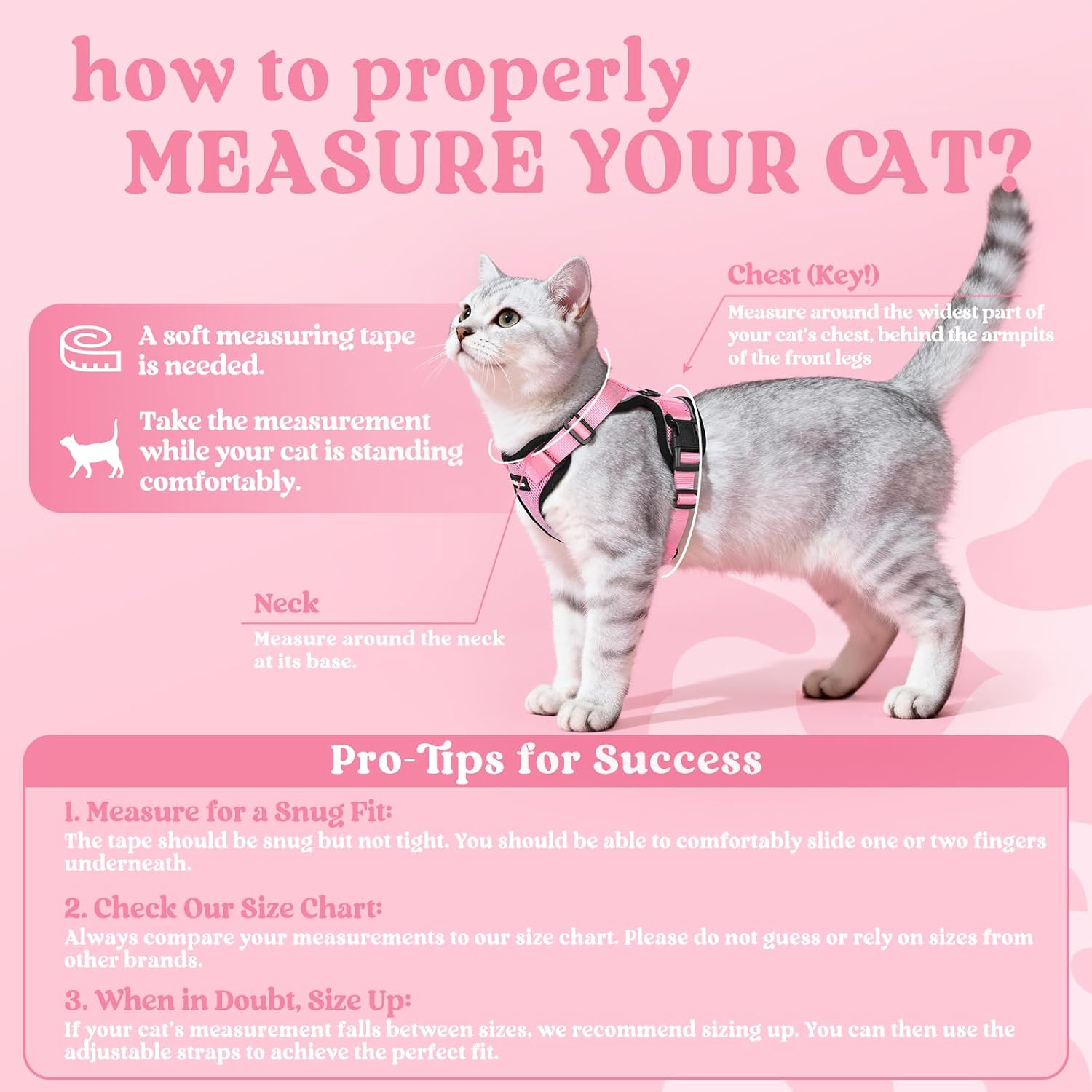 Detalle 2 de rabbitgoo Cat Harness and Lead Set for XS