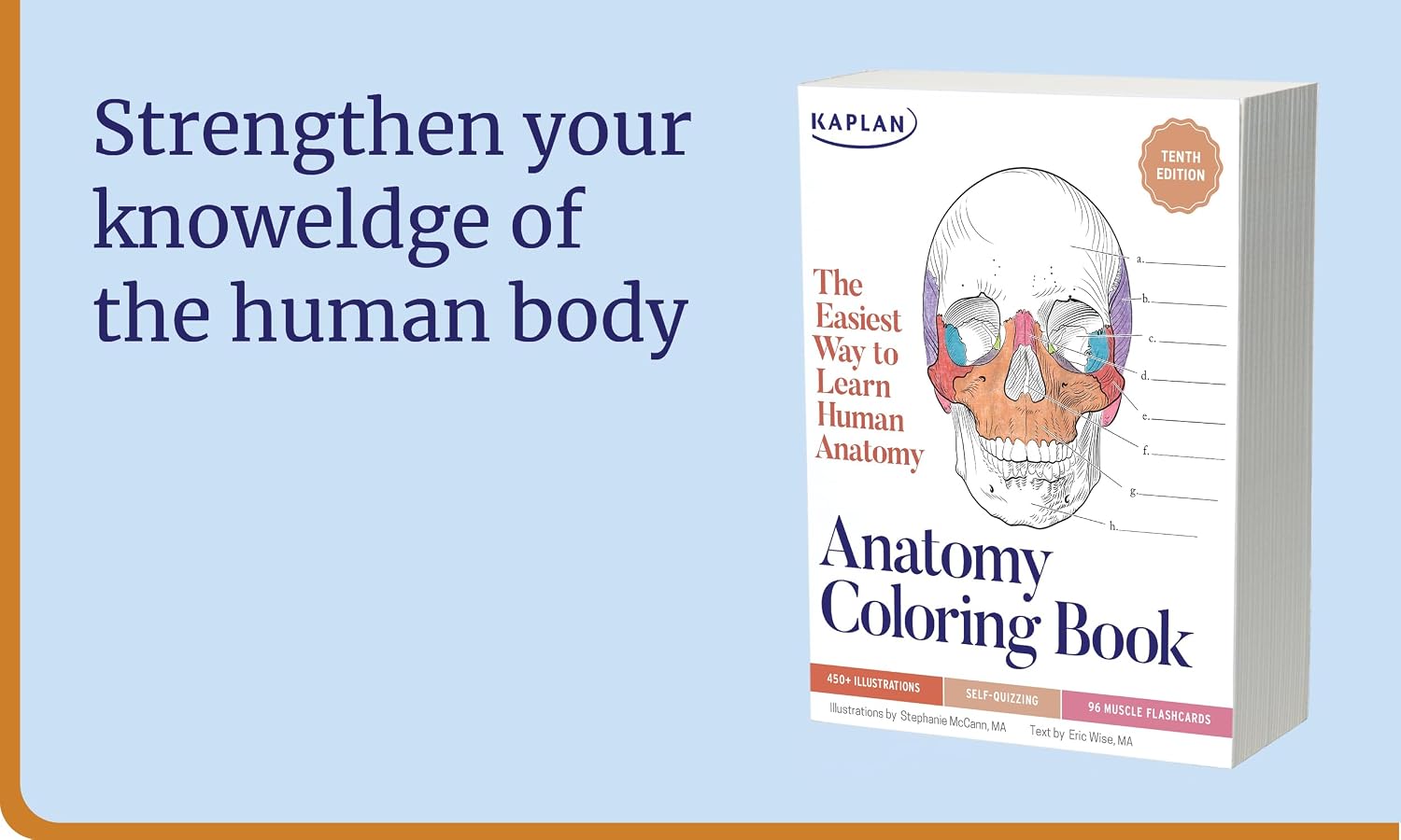 Detalle 2 de Kaplan Test Prep Anatomy Coloring Book, 450+ Realistic Illustrations & Quizzes