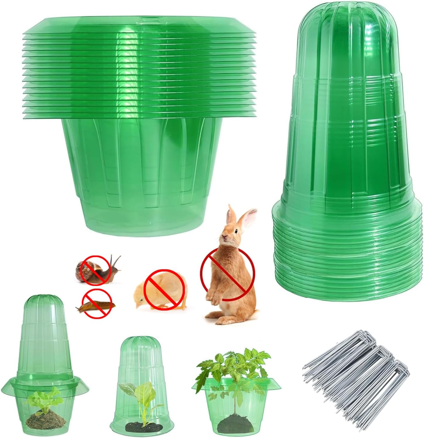 Thumbnail 1 de Emyimom Upgrade Schneckenkragen & Pflanzenhut – Schneckenschutzring mit Pflanzenabdeckung, 15 Stück