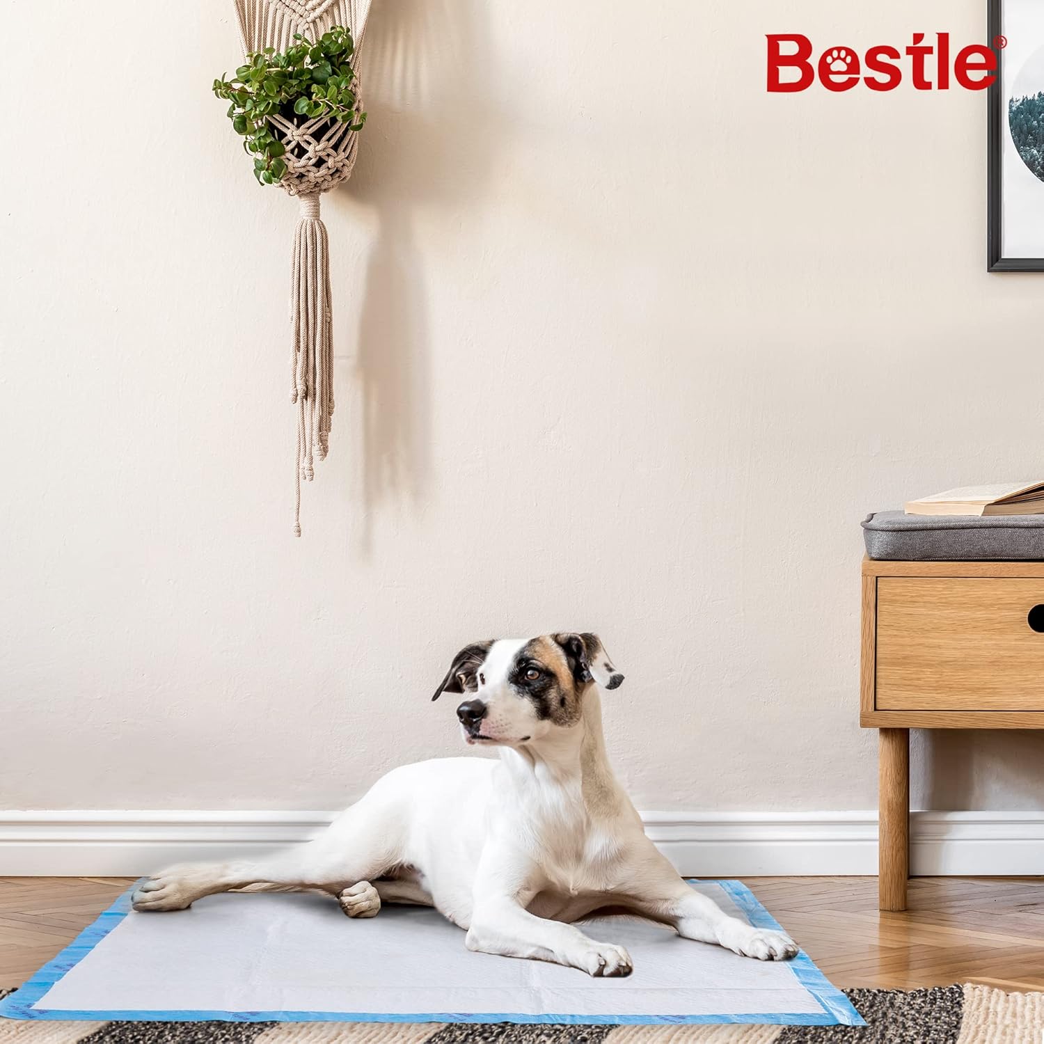 Detalle de BESTLE Extra-Large Dog Potty Pads (28 x 34 in), 40 Leakproof Training Pads