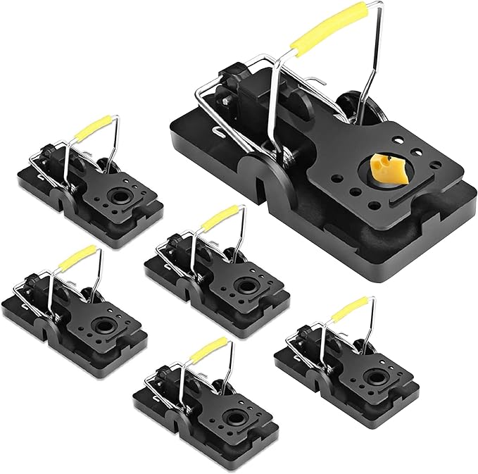Aspectek Trampas para Ratones 6 Unidades 🐭 Reutilizables