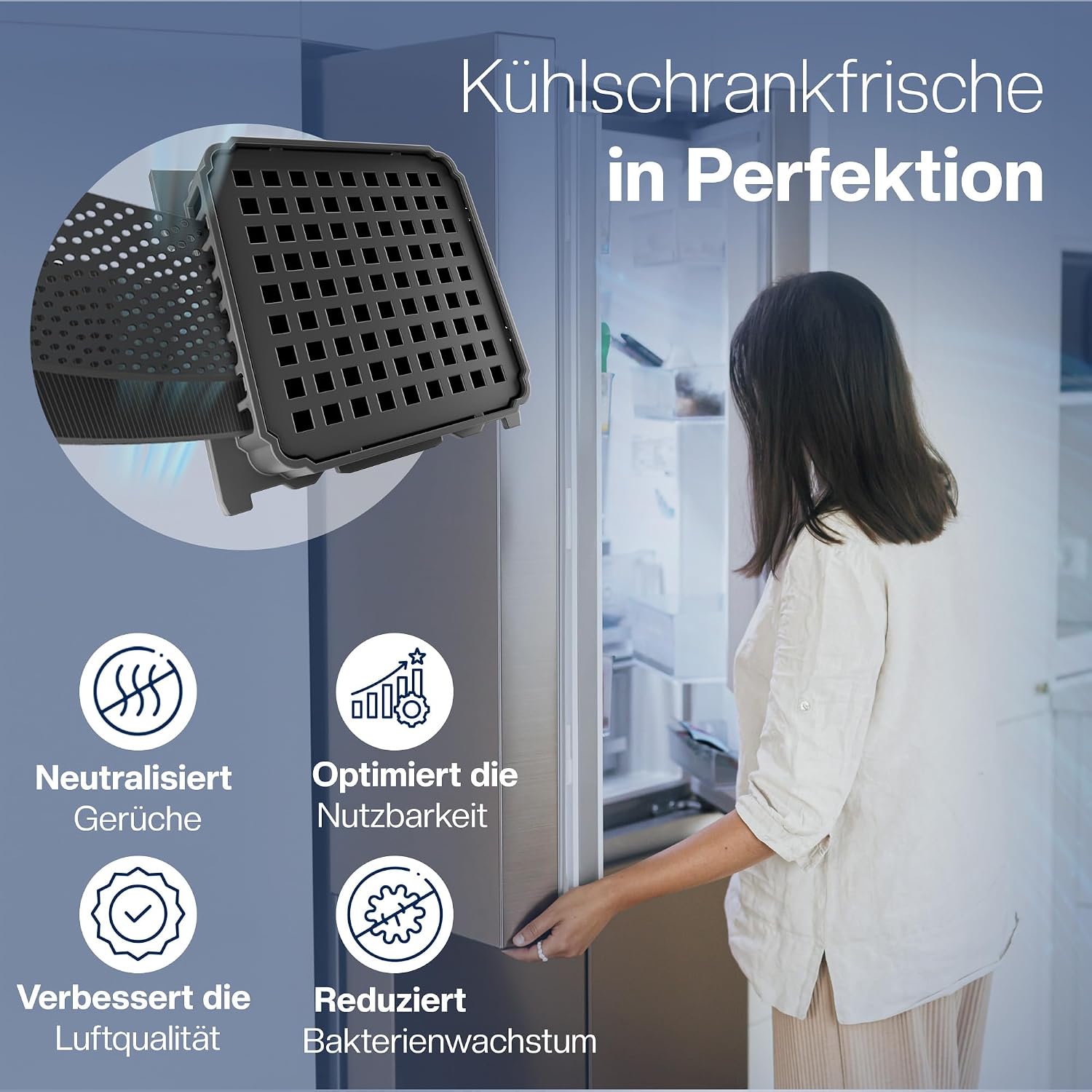 Detalle de Liebherr FreshAir Filter 2er-Pack