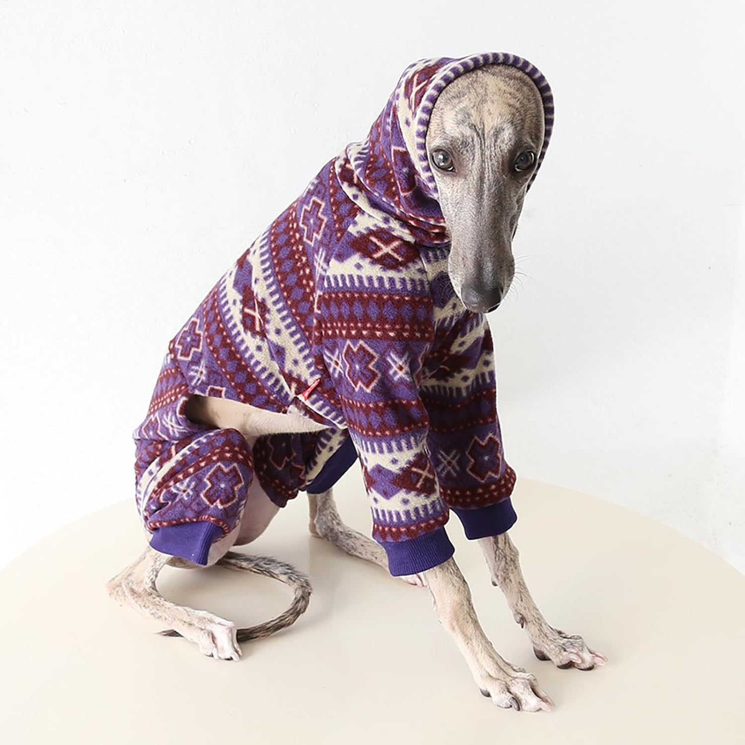 Detalle de Winter Dog Pajamas: Italian Greyhound Jumper