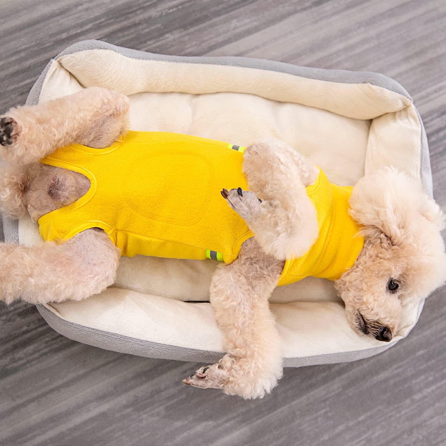 Thumbnail 6 de BT Bear Kleiner Hundepullover: Weiches Fleece mit reflektierender Weste – Wärme für kleine Vierbeiner