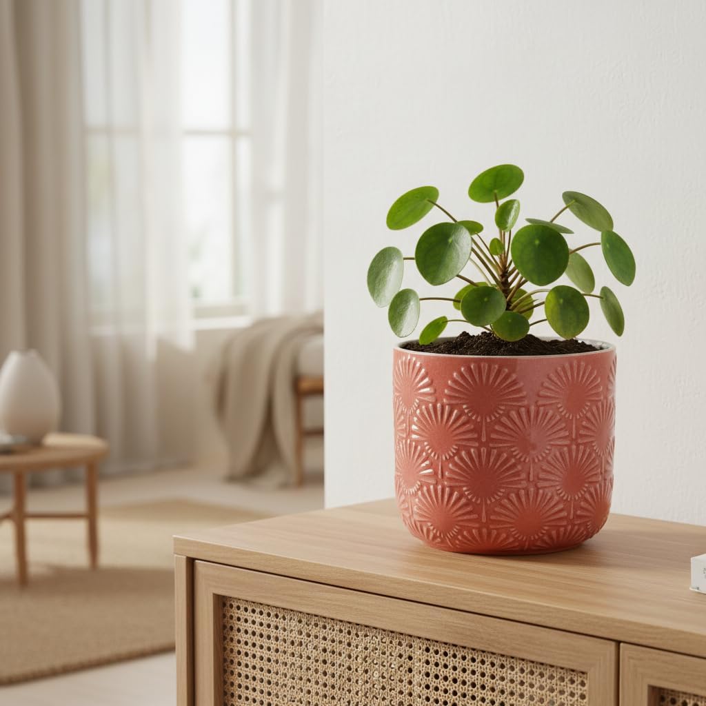 Detalle de Xiaan Jiaju Coral Blush Ceramic Planter with Fanburst Texture and Drainage Hole