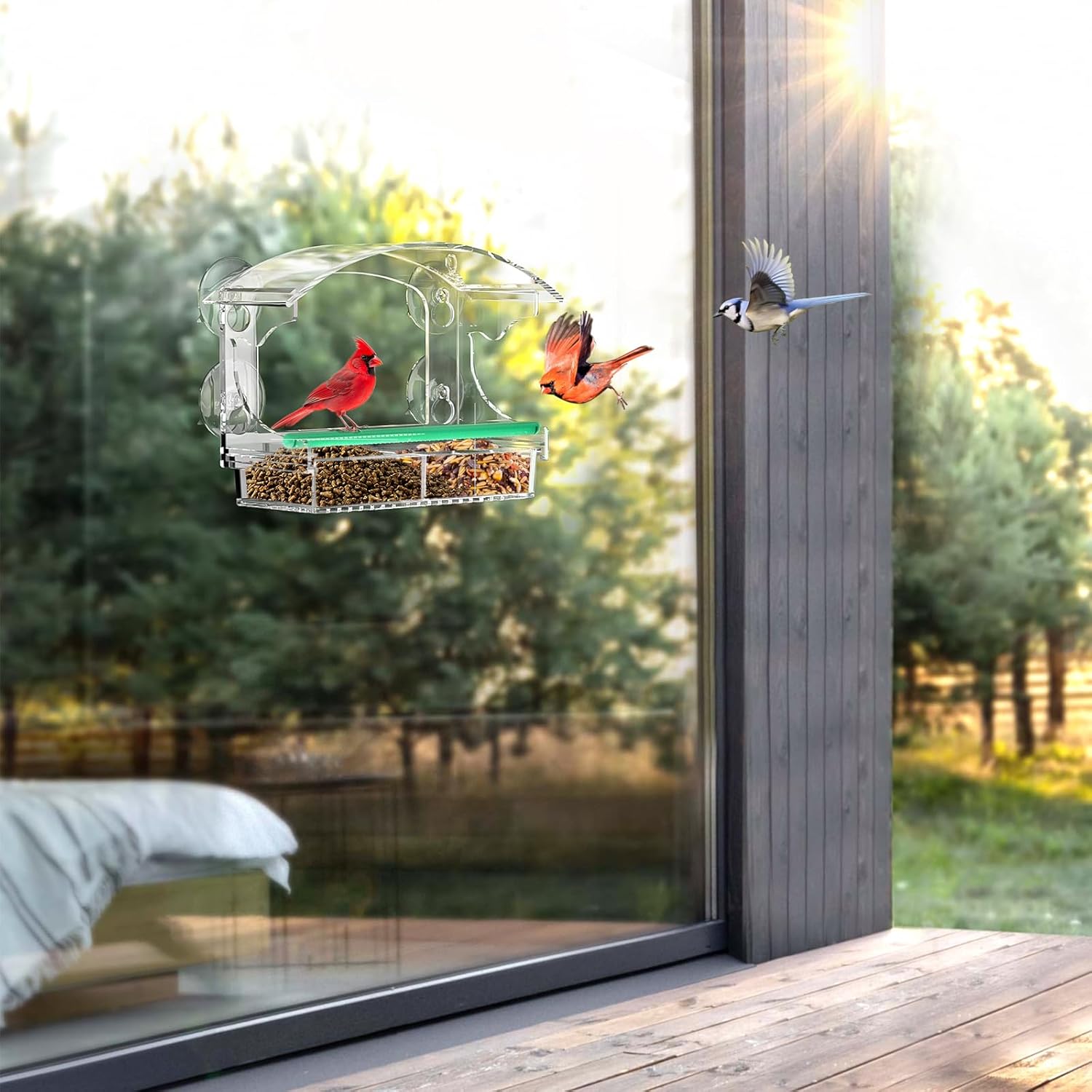 Thumbnail 5 de BPYOT Acrylic Window Bird Feeder with 4 suction cups 🐦