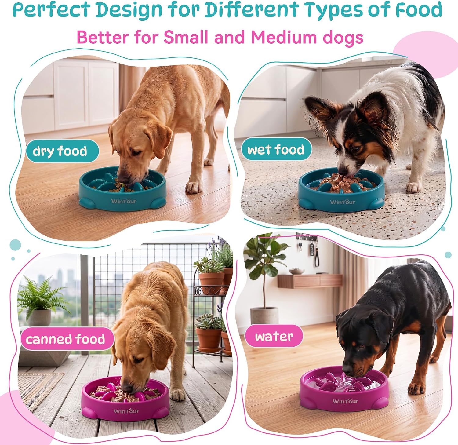 Thumbnail 3 de WinTour Dog Slow Feeder Bowl, 2-Pack Flower-Design PP Puzzle Feeders