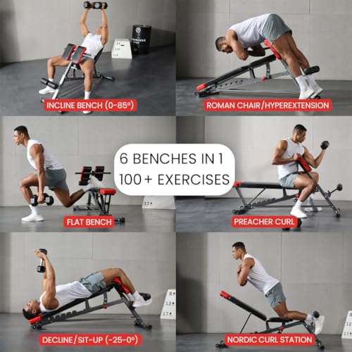 Detalle de FF Finer Form Multi-Functional Adjustable FID Weight Bench and Roman Chair