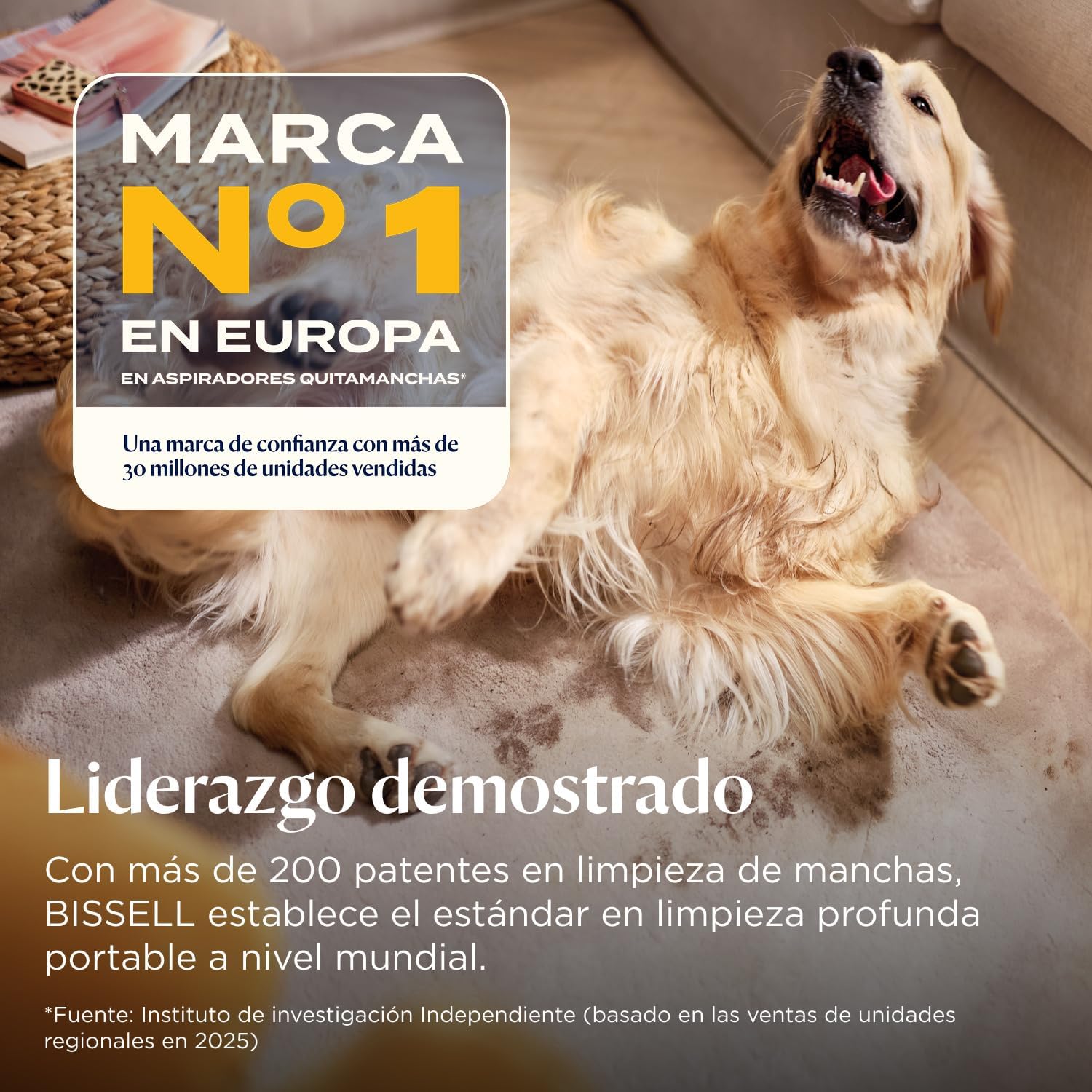 Detalle de BISSELL SpotClean Pet Pro 🐾, Aspiradora para Mascotas y Tapicería