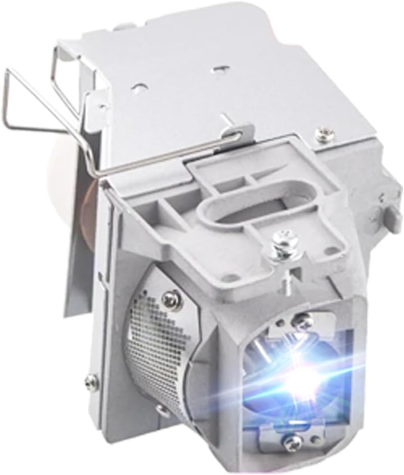 iReijomoi Replacement Lamp BL-FU240E SP.7G6R1GR01 for Optoma projectors