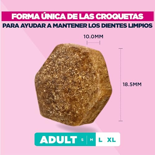 Detalle de Eukanuba Alimento Seco Premium para Perros Adultos de Razas Grandes (Pollo Fresco) – 15 kg