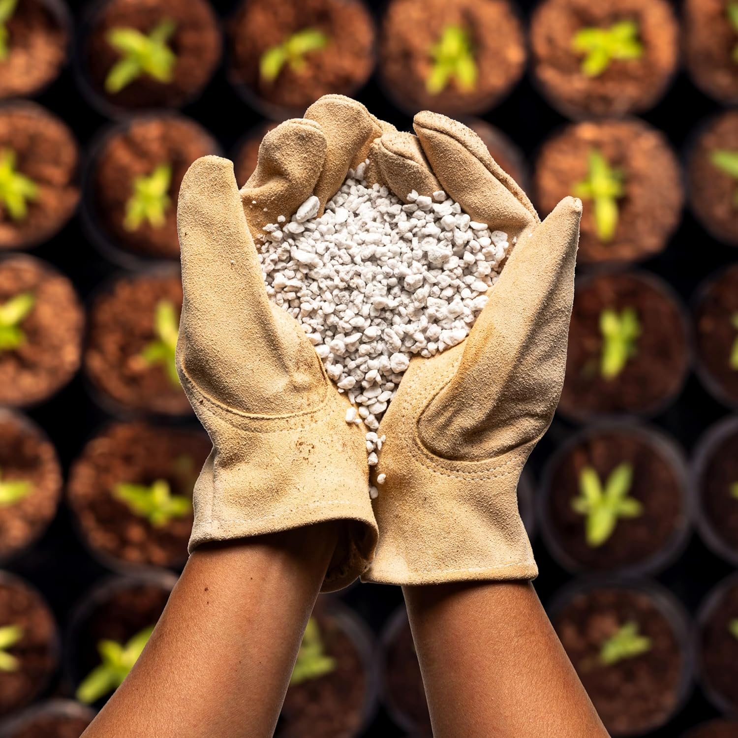 Detalle de Plantonix perlite soil amendment, 24 quarts