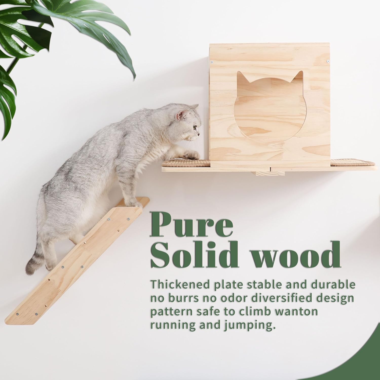 Thumbnail 5 de Set mensole da parete MIUZMORE per gatti con casa, tiragraffi in sisal e gradini in legno massello