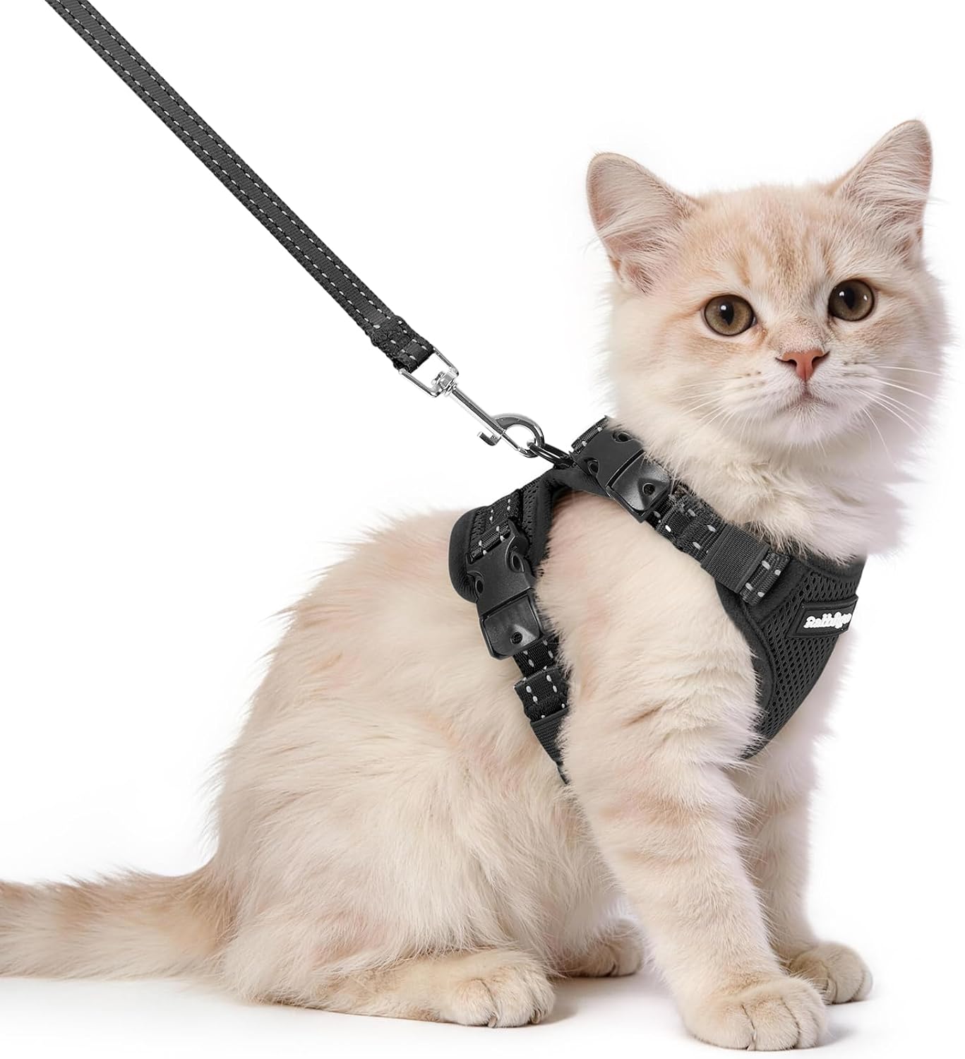 Detalle de Rabbitgoo Katzengeschirr mit Leine, XS – Ausbruchsicher, reflektierend, bequeme Passform