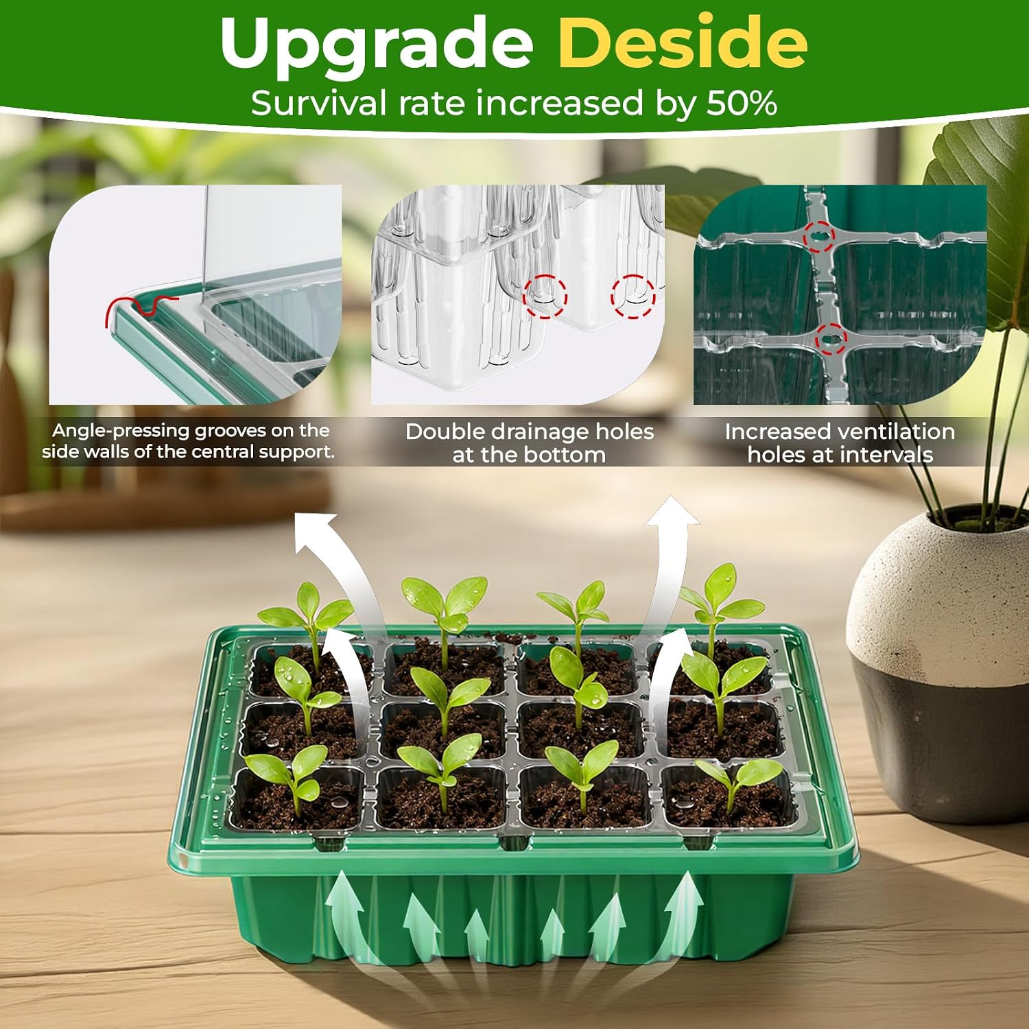 Detalle de 2026 Seed Starter Tray Kit, 36 Cells, Grow Lights, Heat Mat and Humidity Domes