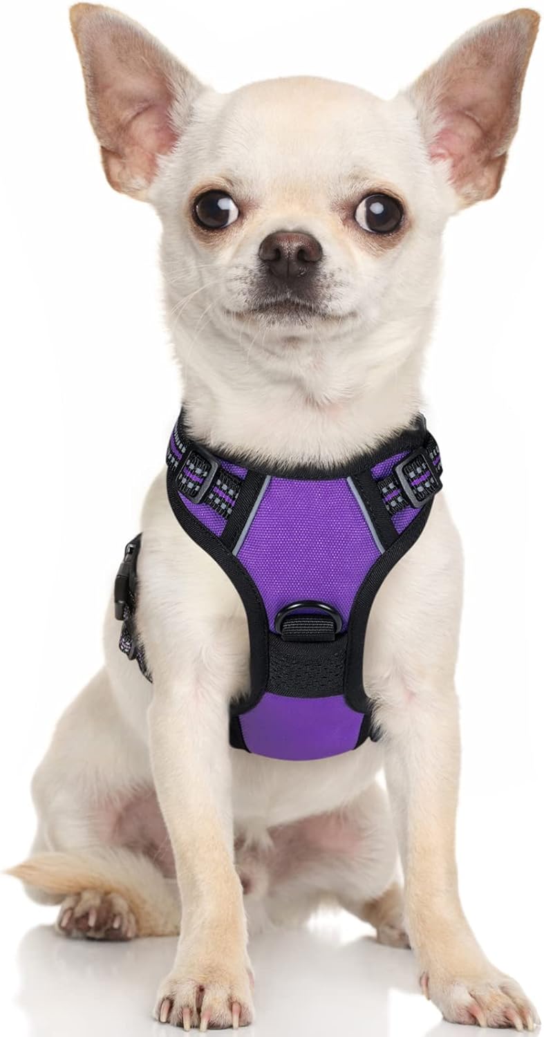 rabbitgoo Harnais Chien Anti Traction Violet XS