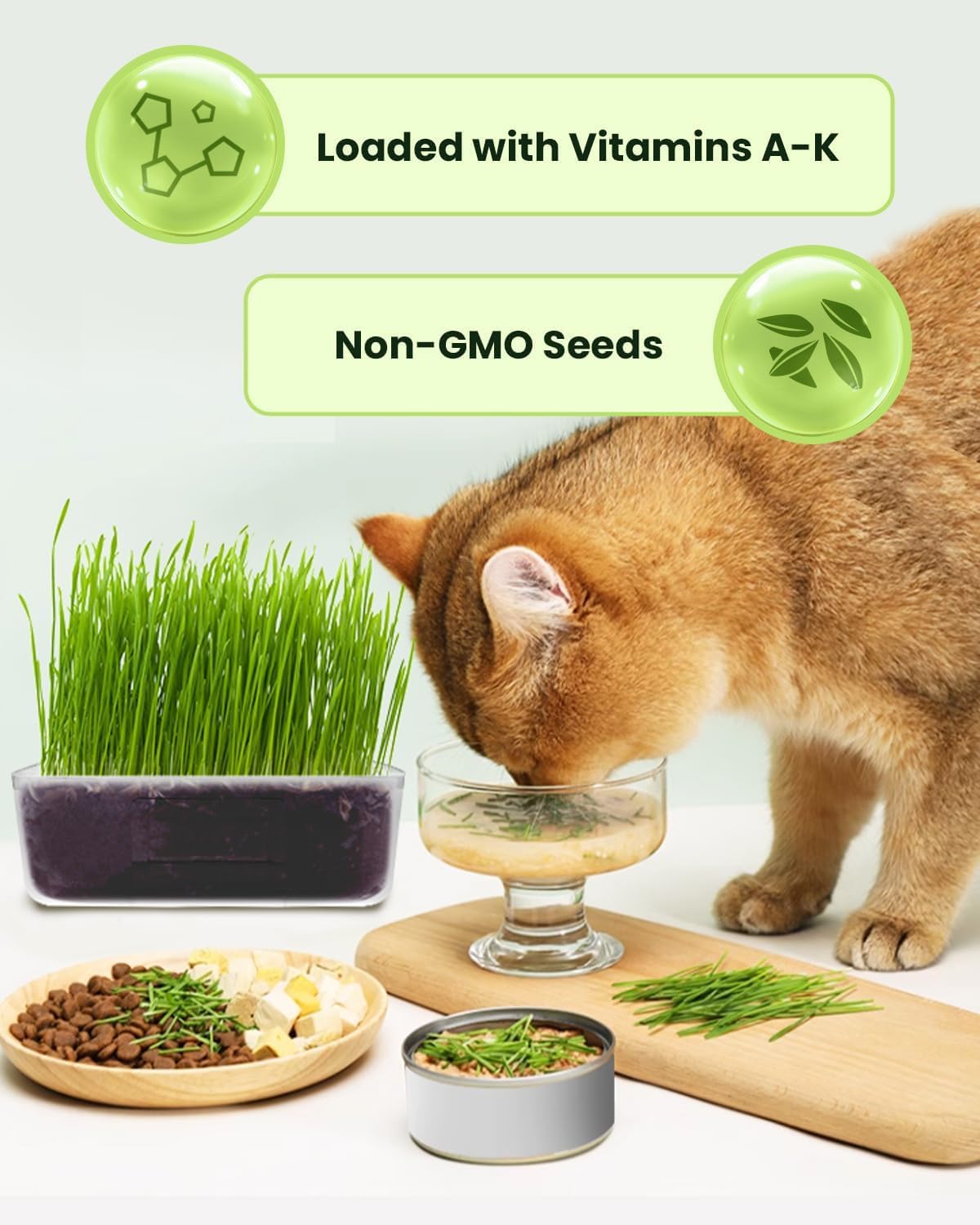 Detalle de Cat Grass Growing Kit 3-Pack