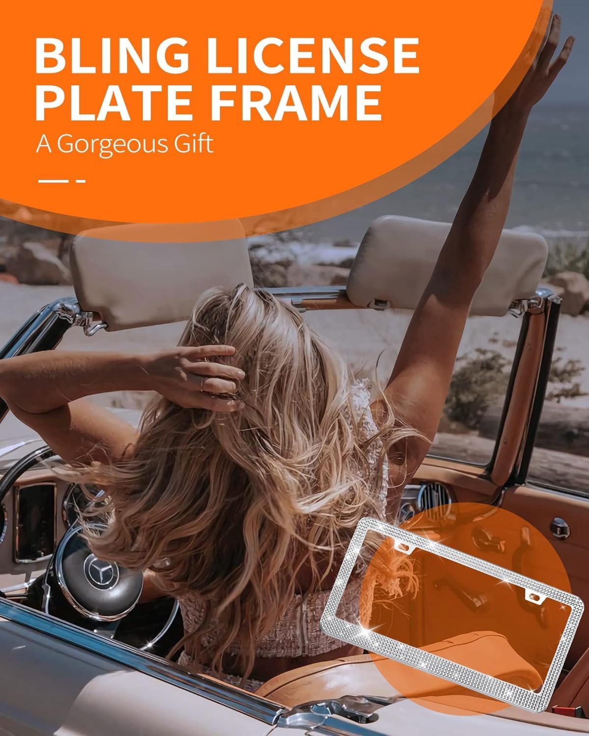 Detalle de HOTOR License Plate Frame, Stainless Steel