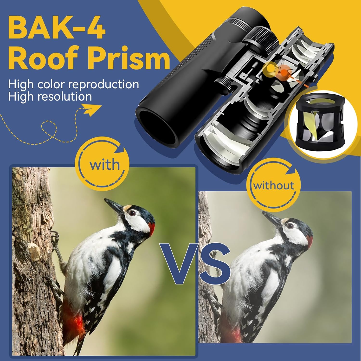 Detalle 2 de Svbony SV202 10x42 Binoculars Review: Solid Mid‑Range for Birdwatching and Wildlife