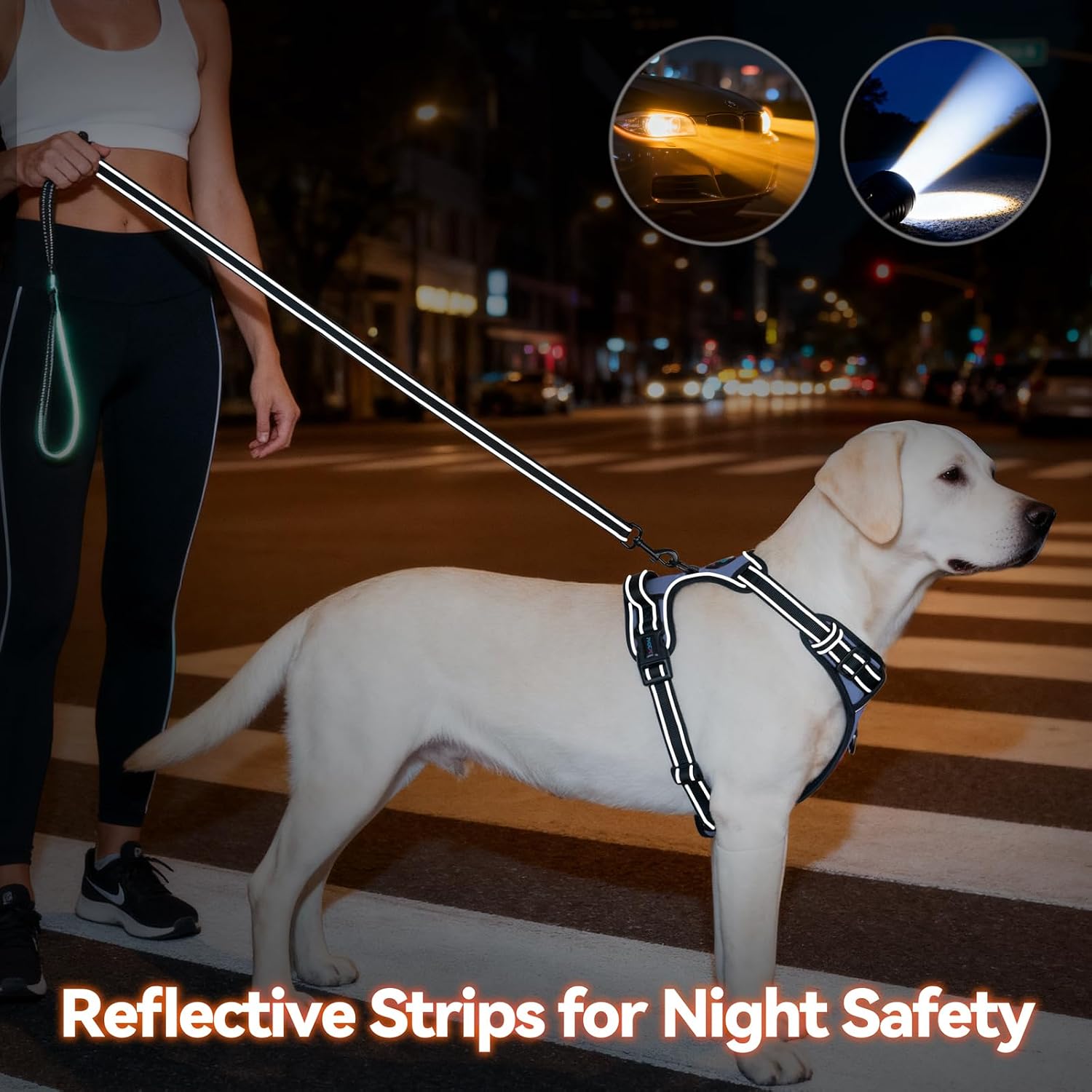 Thumbnail 4 de PHOEPET D2090 No-Pull Dog Harness, Small Baby Blue, Reflective Dual Clips