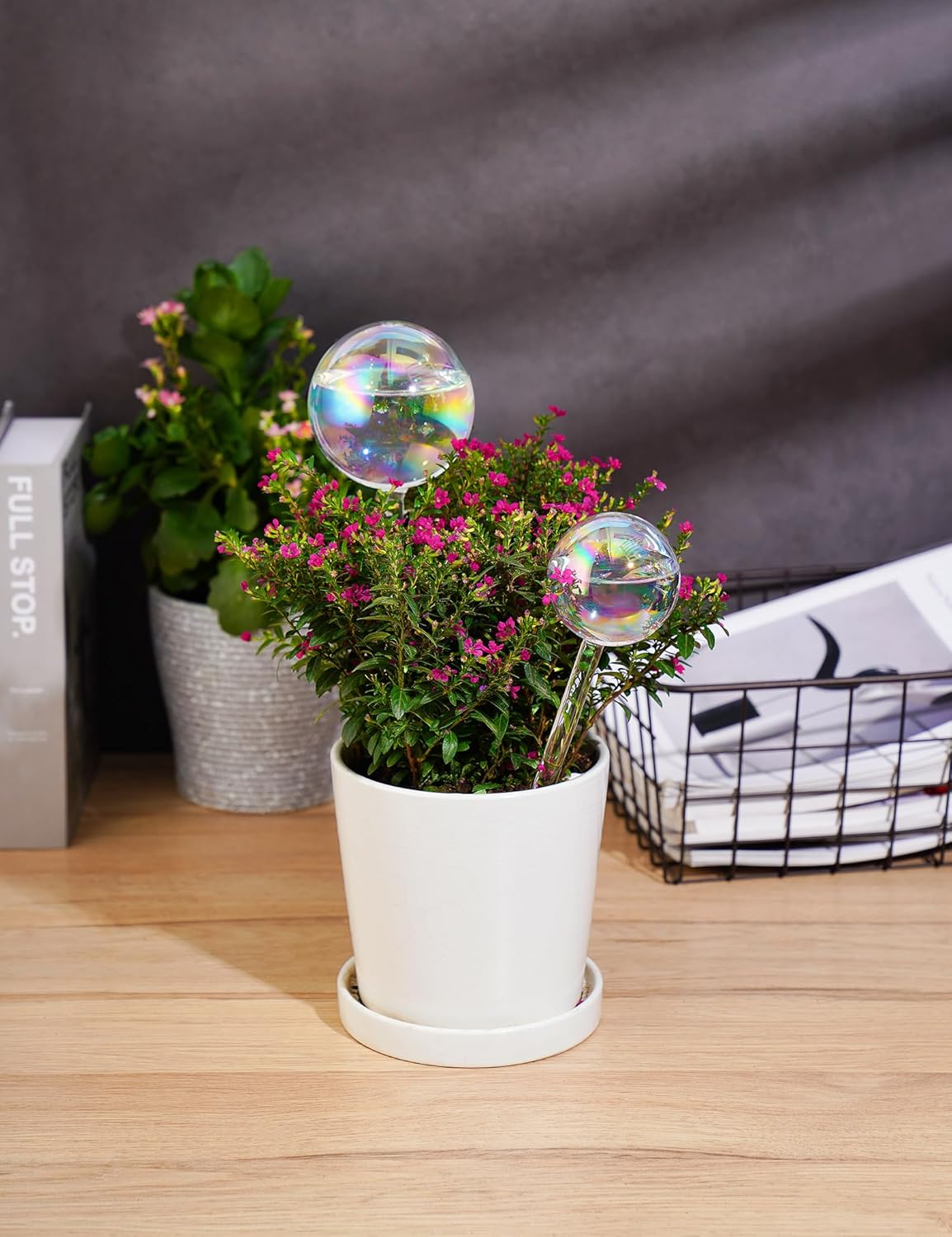 Thumbnail 2 de Tomorotec Iridescent Glass Self Watering Globes 4-Pack (2 Large + 2 Small)