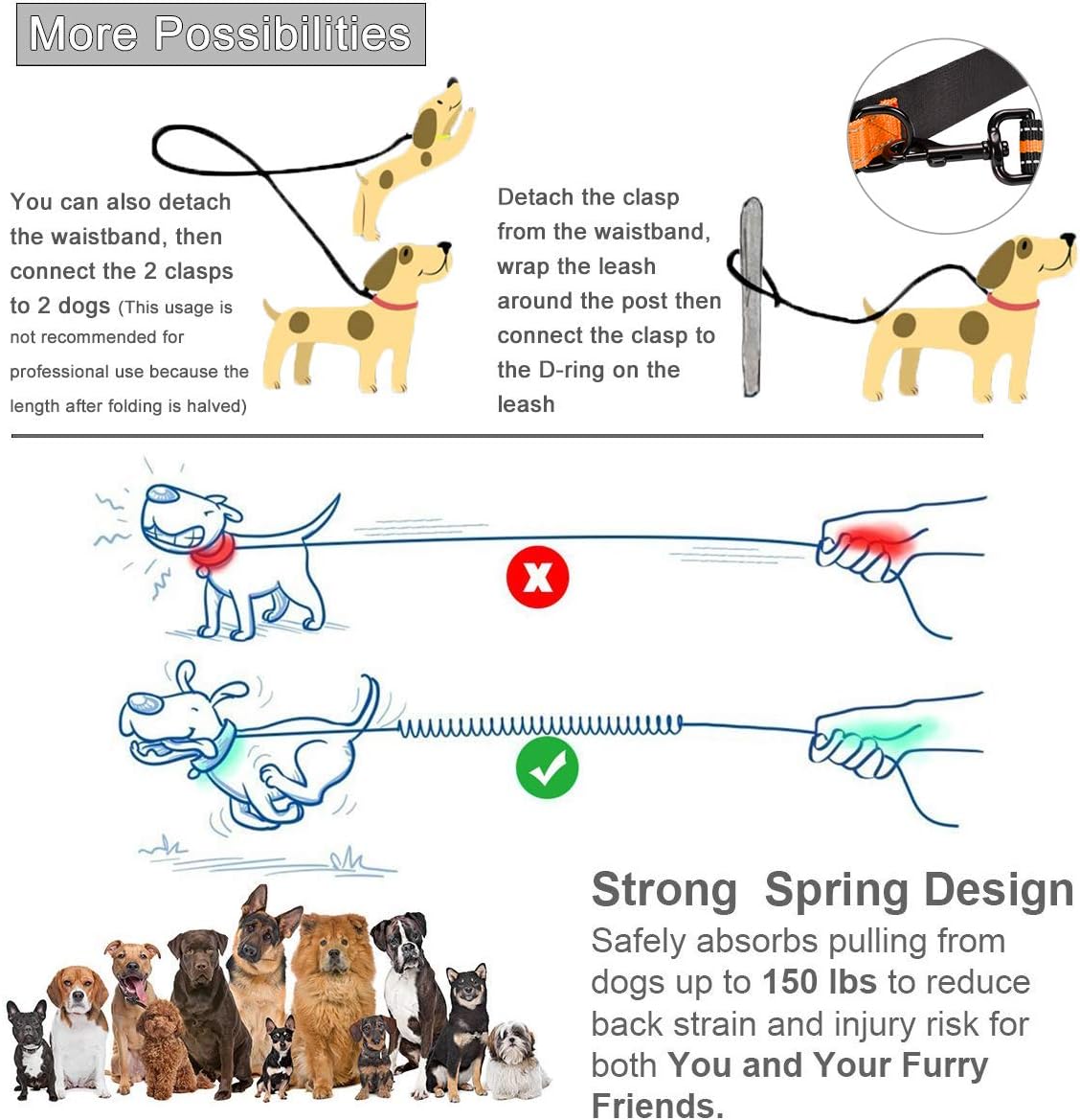 Detalle de Philorn Hands Free Dog Lead with Phone Pouch: Extendable 47"–67", Dual Handle, Reflective & Waist Pack