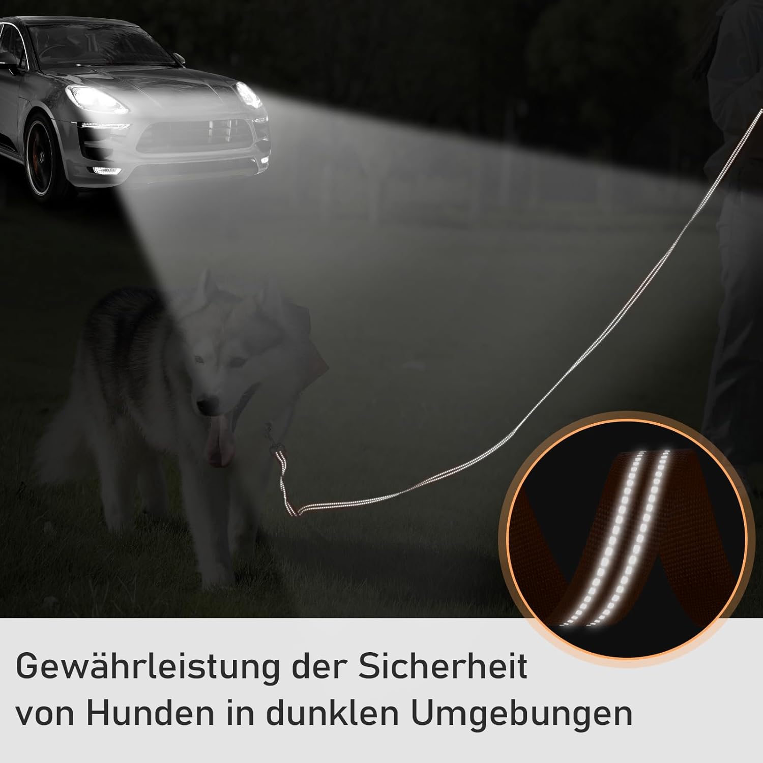 Thumbnail 5 de X XBEN Schleppleine 10M für Hunde 📏