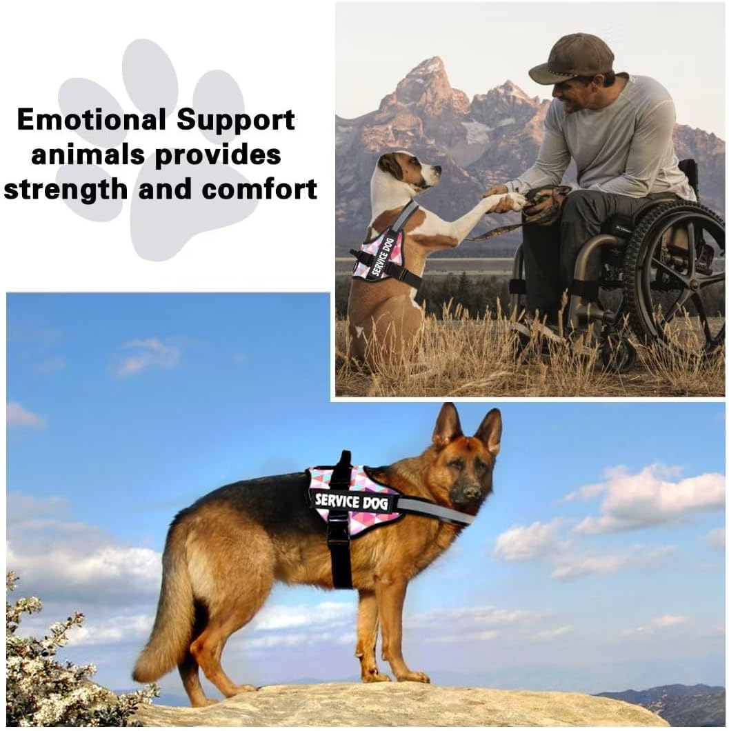 Thumbnail 6 de Belababy service dog harness, S size