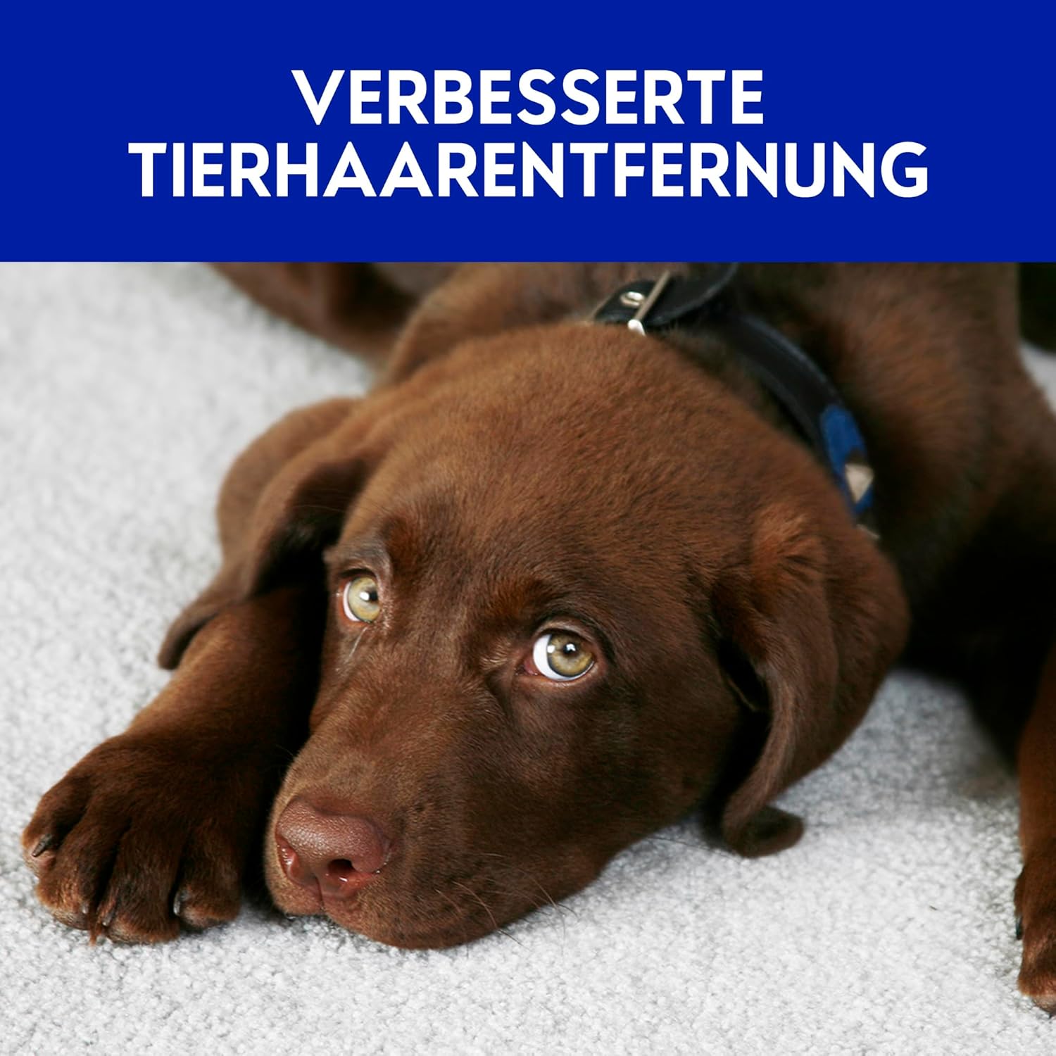 Thumbnail 4 de Vanish GOLD Power Schaum Teppichreiniger 650 ml