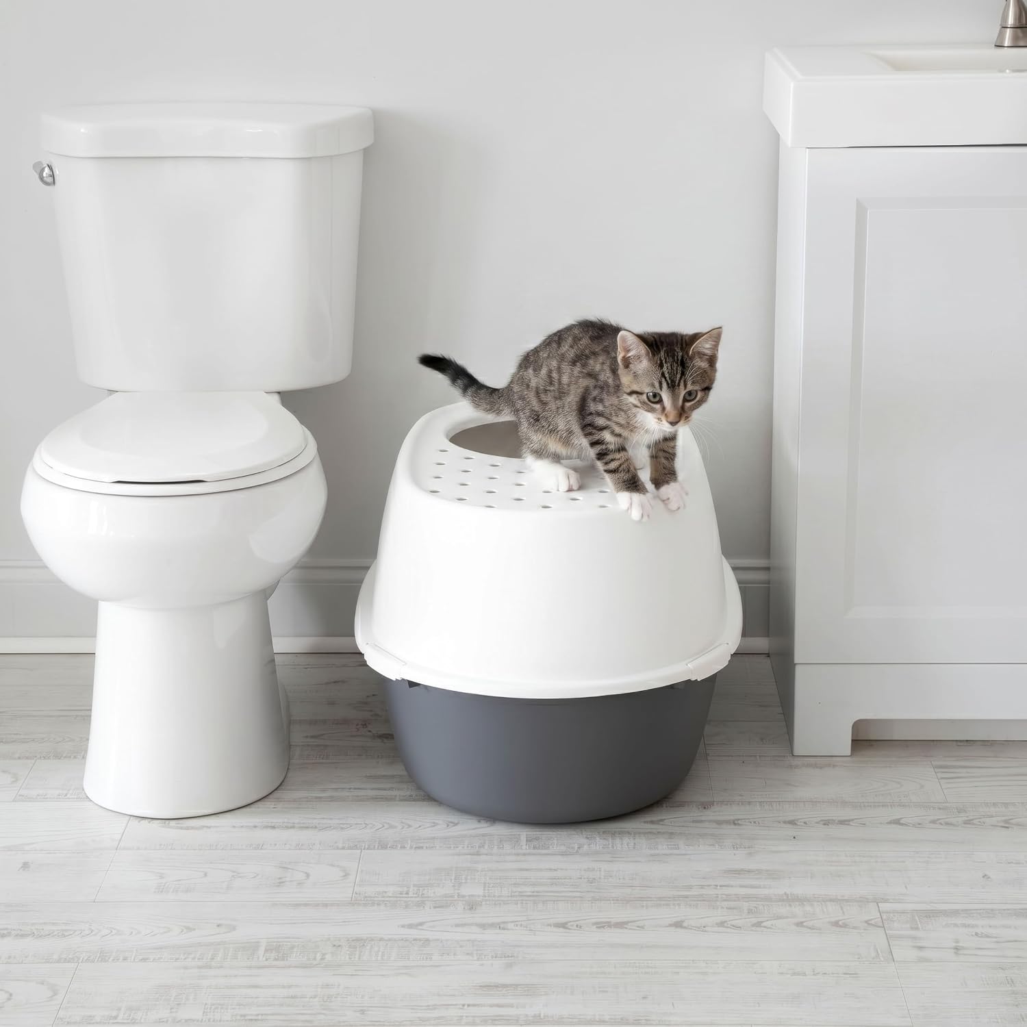 Detalle 2 de IRIS USA Top-Entry Cat Litter Box, XX-Large