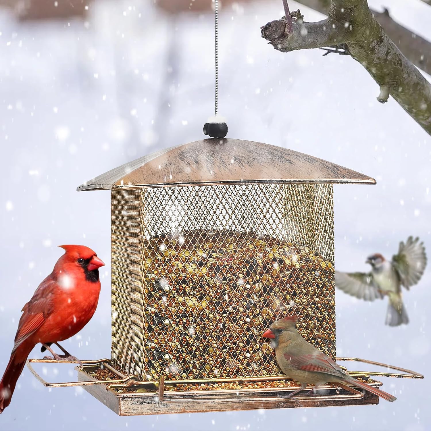 Thumbnail 6 de IWTTWY Bird Feeder Hanging: Heavy-Duty, Squirrel-Proof, Large-Capacity Square Feeder