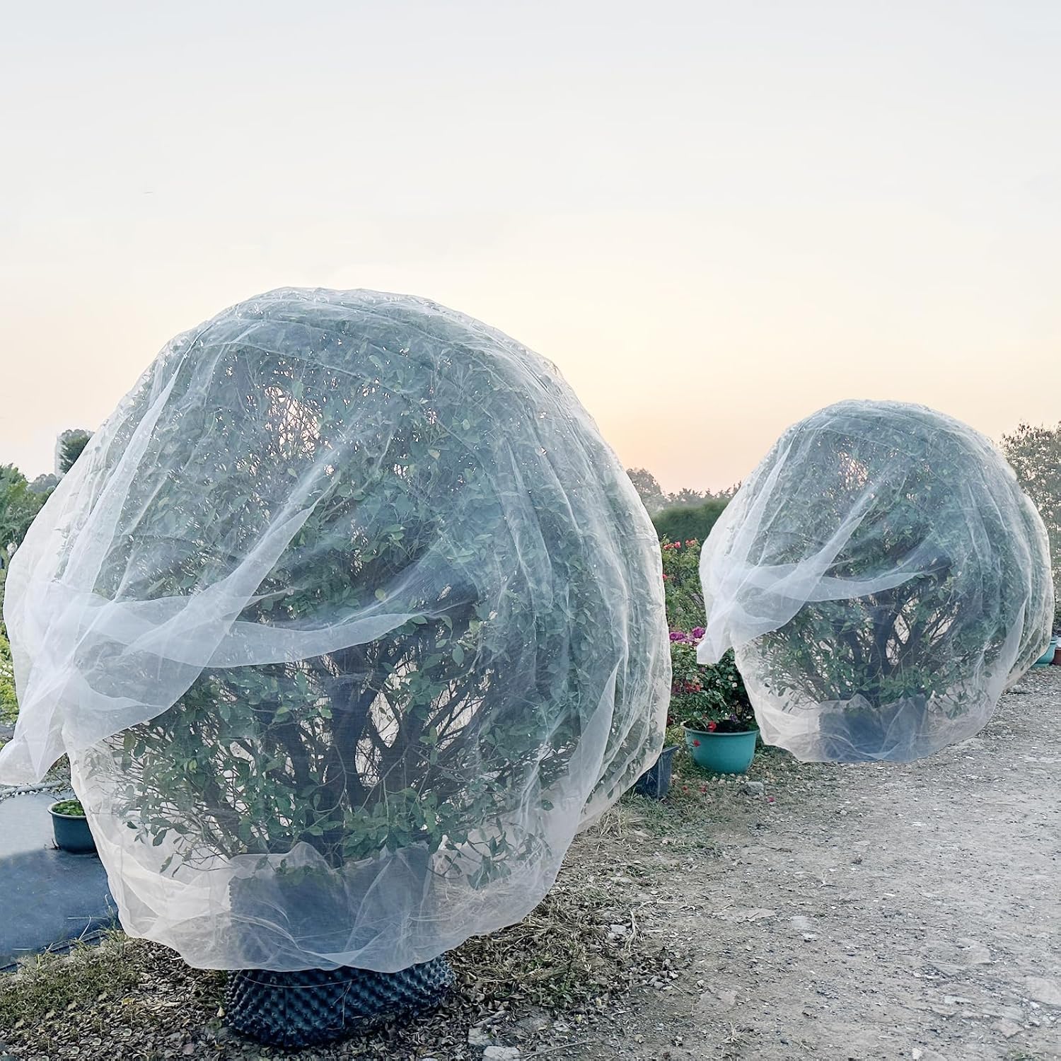 Thumbnail 5 de 2Pack 3x3m Insect Netting Bag with Zipper and Drawstring – Fruit Tree Netting for Protecting Blueberry Flowers and Plants