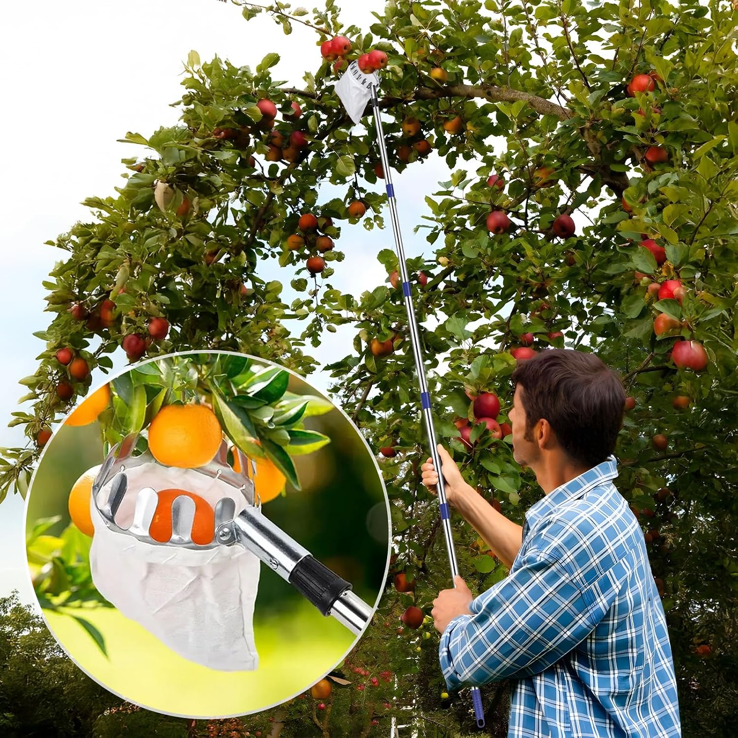 Thumbnail 6 de DBREAKS YH-13661 fruitplukker met telescopische steel van 4,2 m