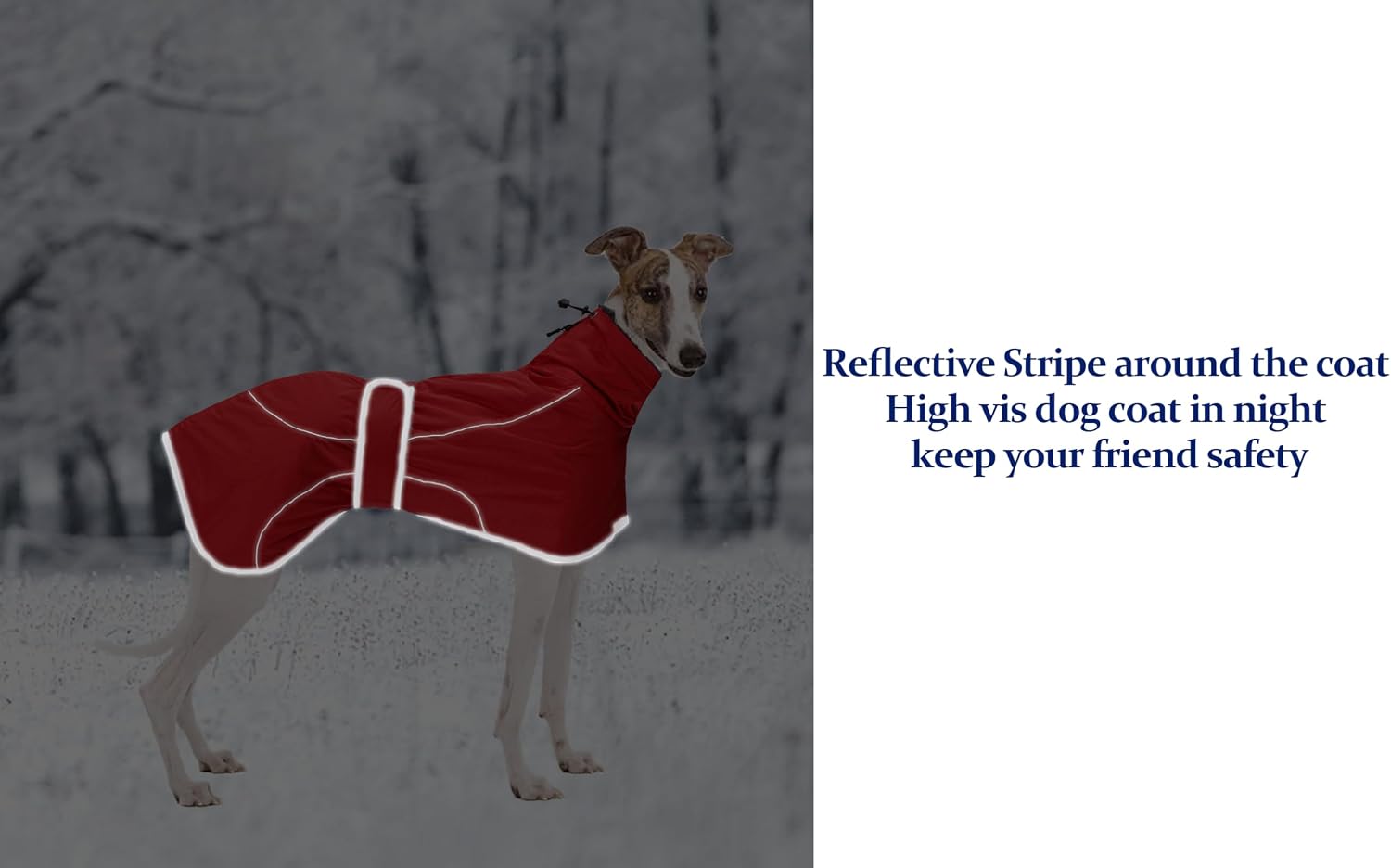 Detalle de Greyhound Winter Coat: Red XXLarge with Padded Fleece Lining and Reflective Trim