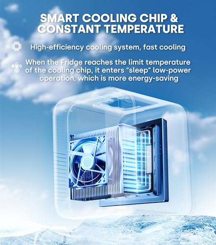 Detalle de Enventor Mini Fridge 4 Litre – Portable Cooler and Warmer (AC + 12V DC)