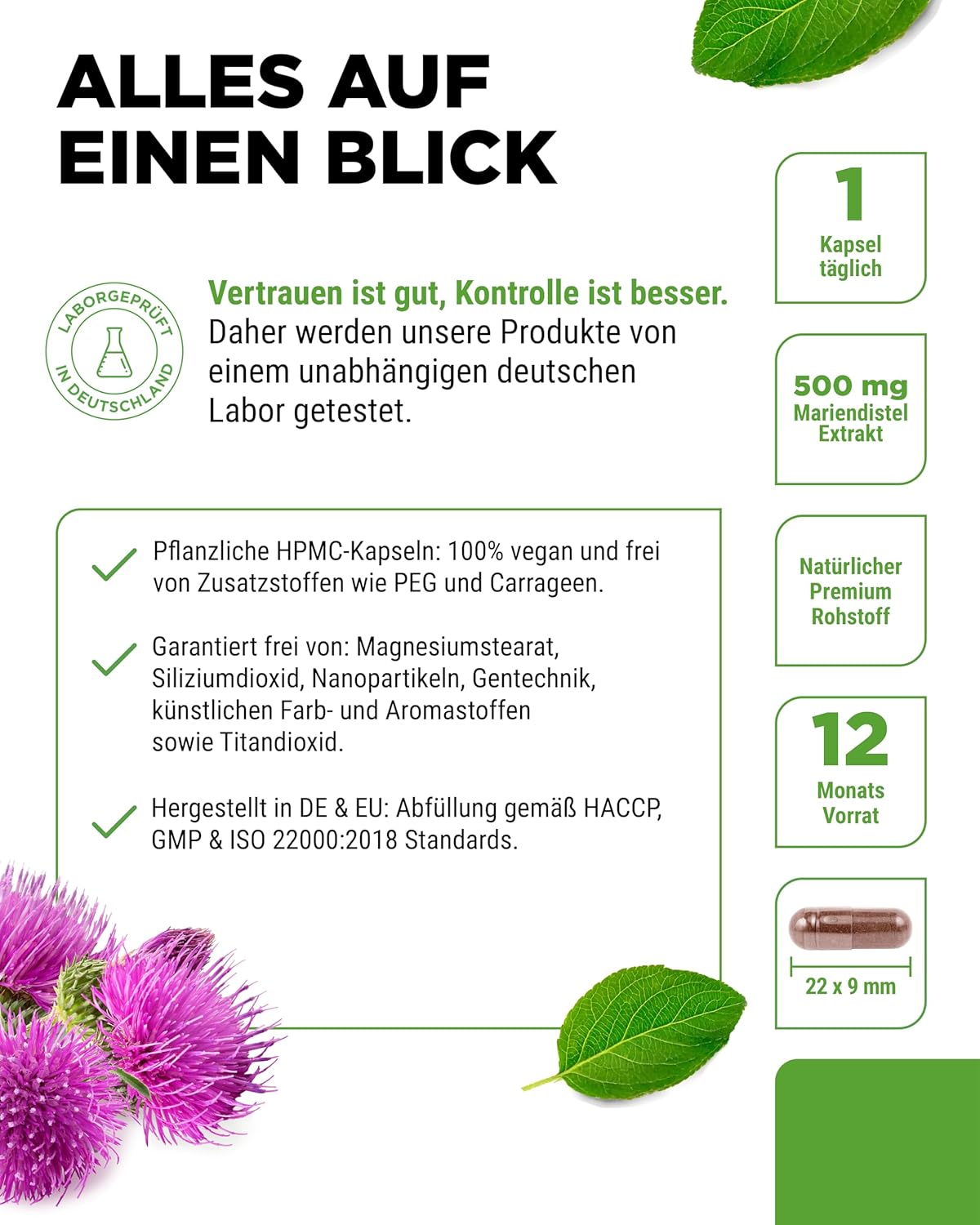 Thumbnail 3 de Vit4ever Mariendistel Extrakt 365 Kapseln – 500 mg pro Kapsel, 80% Silimarin, vegan, 12 Monate Vorrat