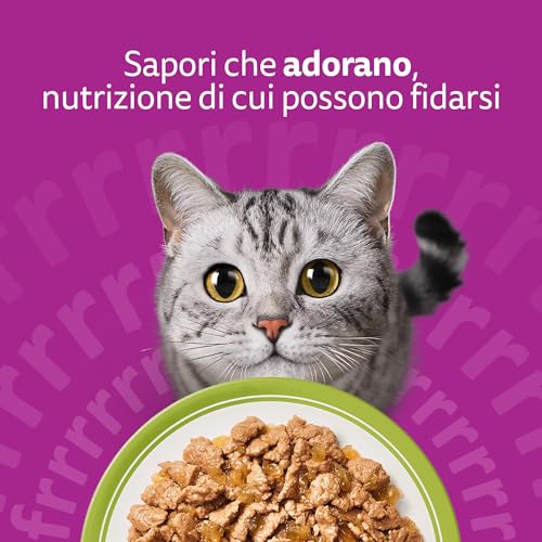 Thumbnail 6 de Whiskas Cibo Umido per Gatti Adulti in Gelatina – Selezione Assortita, 84 Bustine da 85 g (Totale 7.140 g)