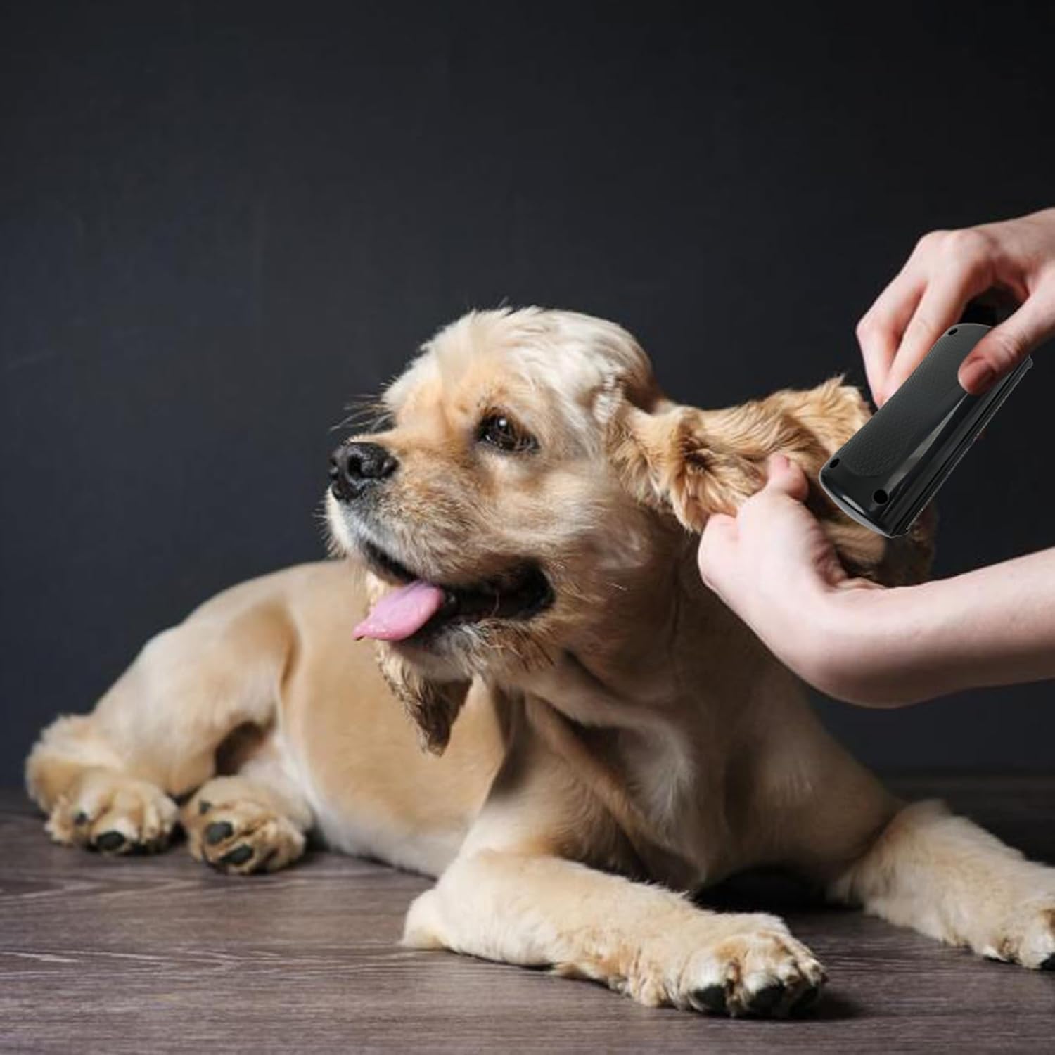 Detalle de Groomify Brosse chien poil court