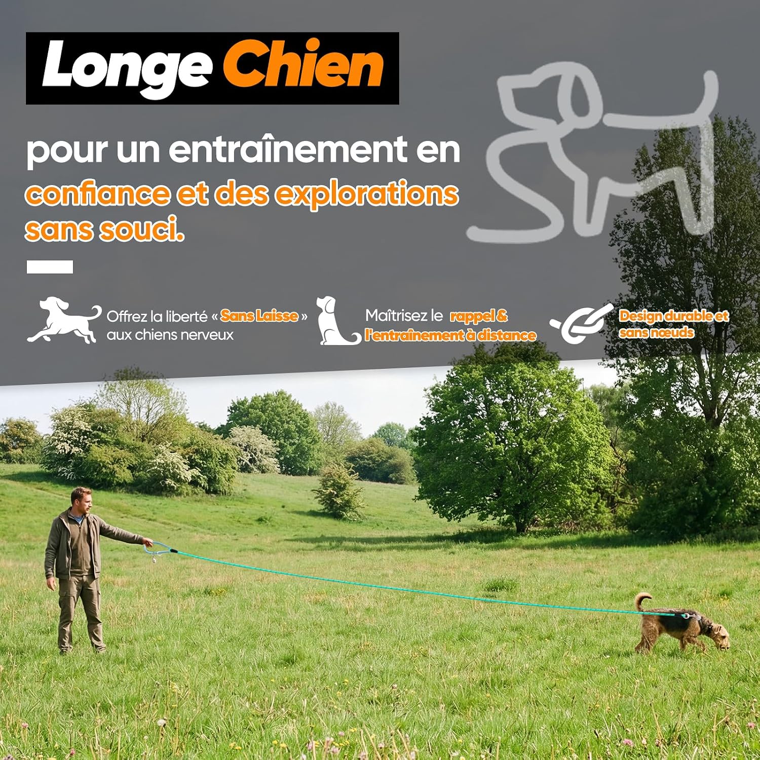 Detalle 2 de Aystkniet longe pour chien avec crochets pivotants, laisse de dressage en corde (jusqu’à 20 m)