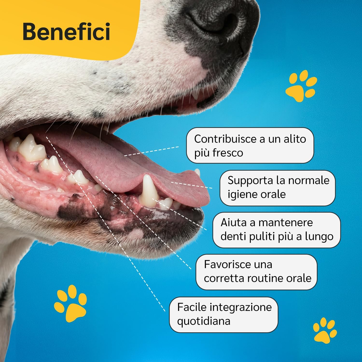 Thumbnail 1 de amusi Dentifricio per cani in polvere 60 g con Ascophyllum nodosum e menta