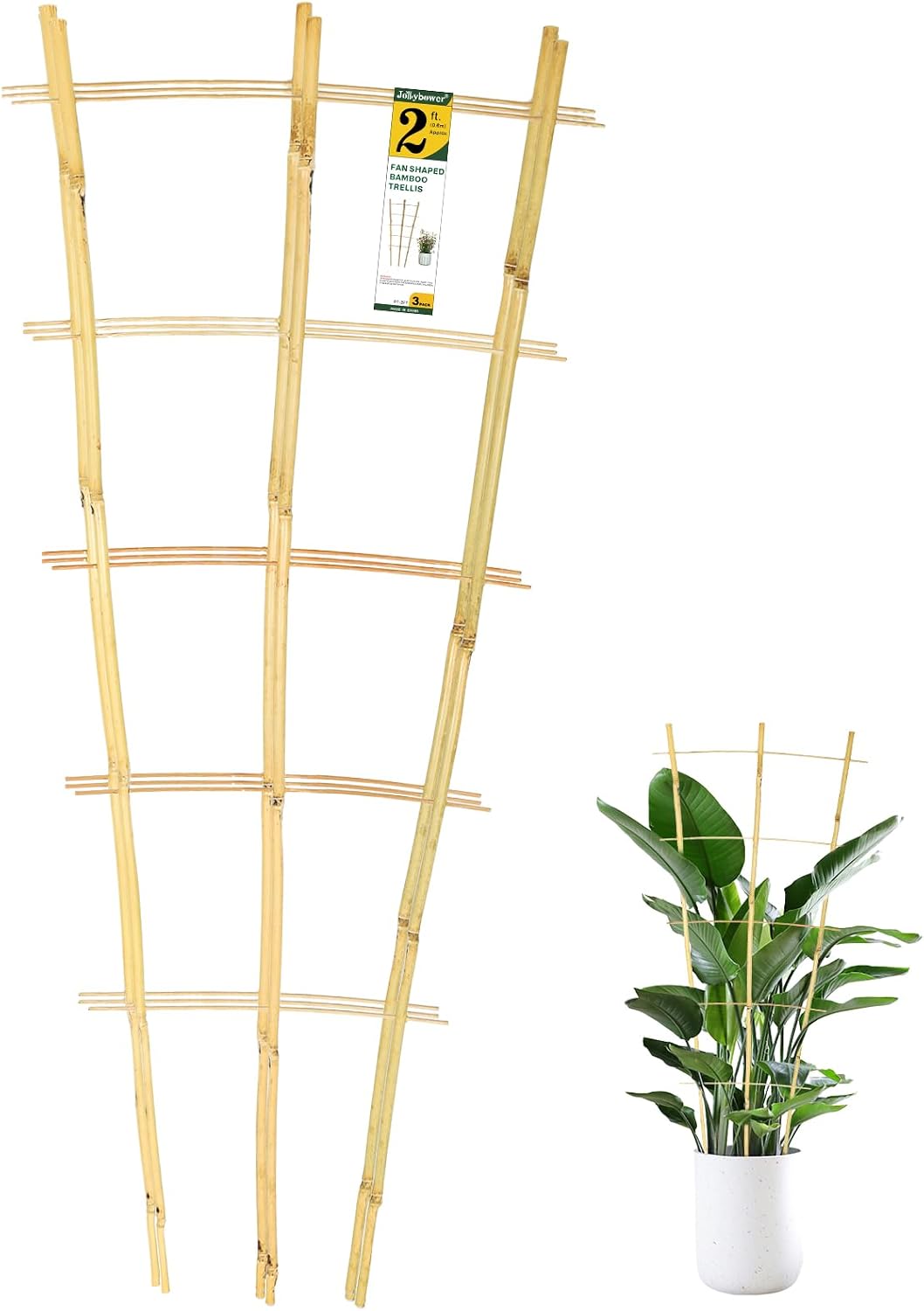 Detalle de Jollybower PT-P Fan-Shaped Bamboo Plant Trellis, 2 ft, 3-Pack