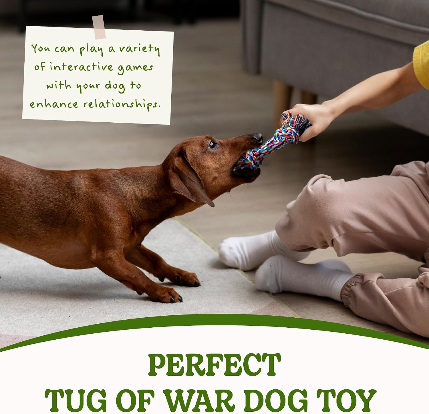 Detalle 1 de SHARLOVY Puppy Teething Toys 2 Pack