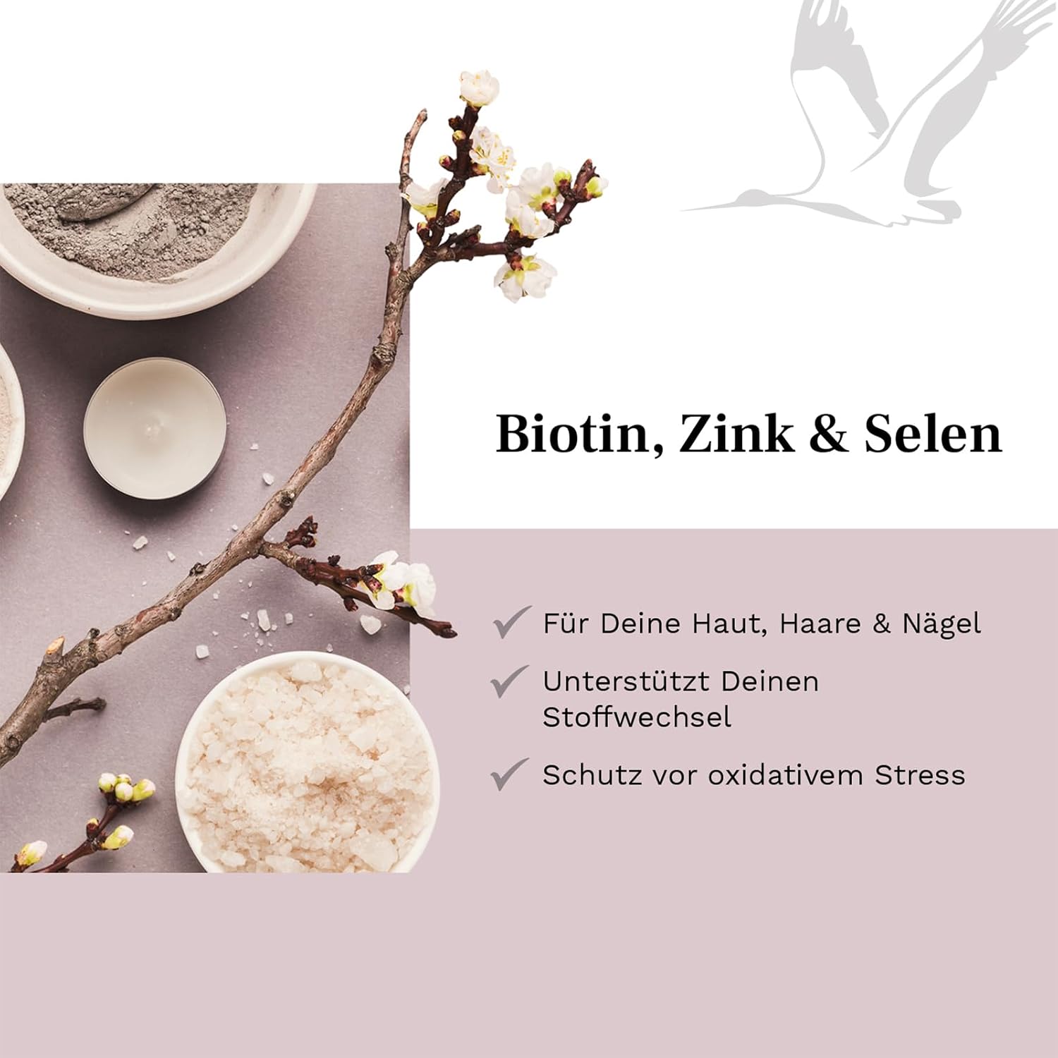 Thumbnail 2 de Biotin Zink Selen Tabletten mit 10 mg Zink