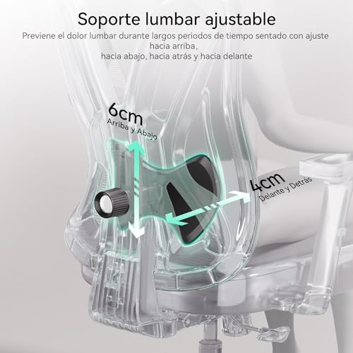 Thumbnail 2 de Hbada P5 Silla de oficina ergonómica negra con soporte lumbar ajustable, reposacabezas y reposapiés