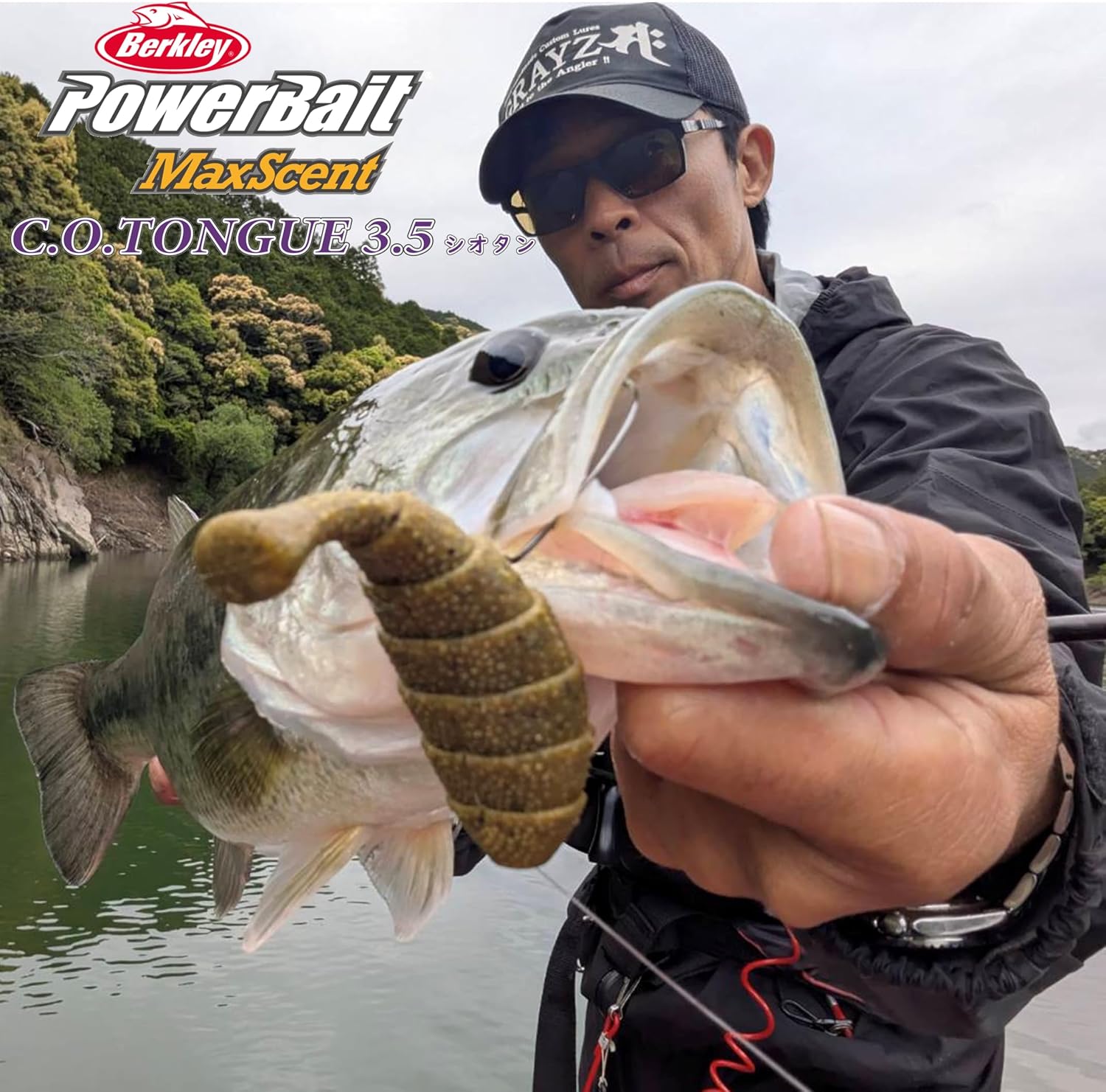 Thumbnail 6 de Berkley C.O.タン3.5 PBMSCOT3.5 フラットワーム エビミソカラー