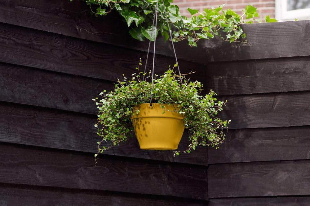 Thumbnail 6 de Elho Vibia Campana Hanging Basket 26 cm – Honey Yellow