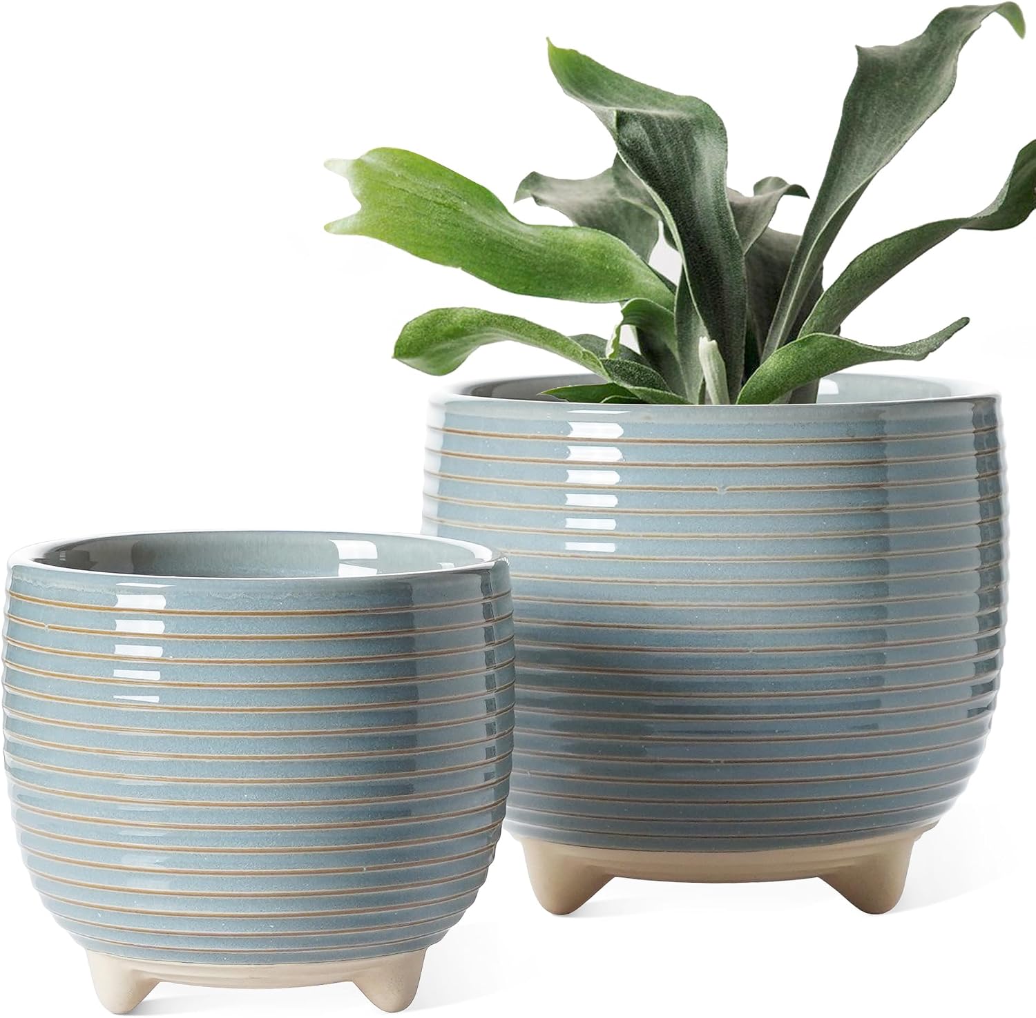 Detalle de LE TAUCI Ceramic Plant Pots 12+16cm