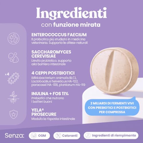 Detalle de Bàu Probiotici per Cani con Fermenti Lattici: Supporto Digestivo Naturale (30 tavolette)